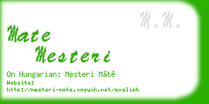 mate mesteri business card